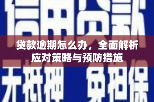 塔什库尔干塔吉克贷款逾期怎么办，全面解析应对策略与预防措施