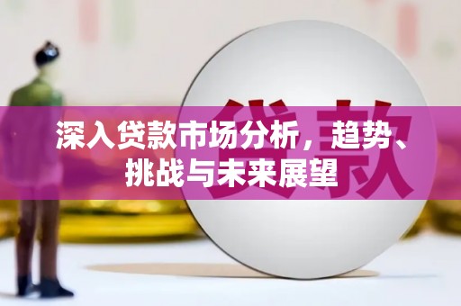 塔什库尔干塔吉克深入贷款市场分析，趋势、挑战与未来展望