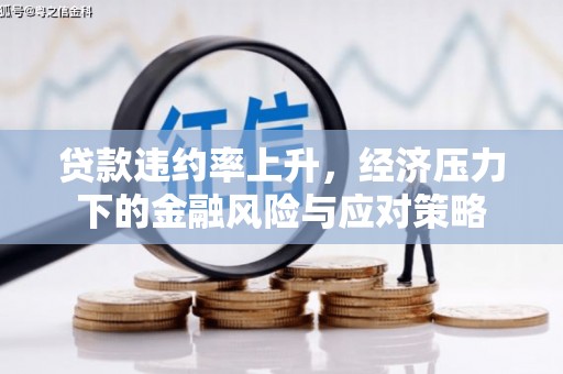 塔什库尔干塔吉克贷款违约率上升，经济压力下的金融风险与应对策略