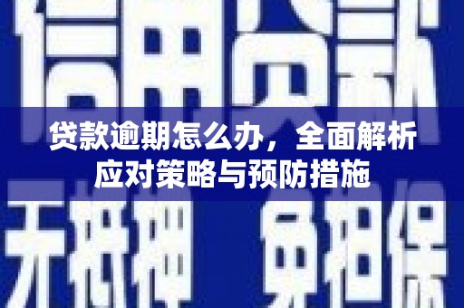 塔什库尔干塔吉克贷款逾期怎么办，全面解析应对策略与预防措施