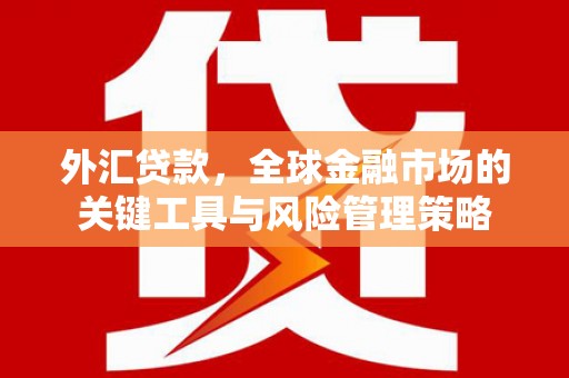 塔什库尔干塔吉克外汇贷款，全球金融市场的关键工具与风险管理策略