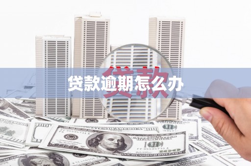 塔什库尔干塔吉克贷款逾期怎么办