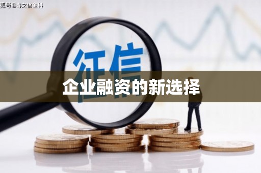 塔什库尔干塔吉克企业融资的新选择