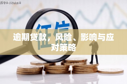 塔什库尔干塔吉克逾期贷款，风险、影响与应对策略