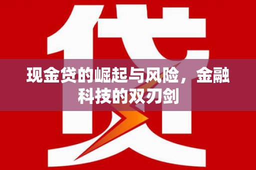 塔什库尔干塔吉克现金贷的崛起与风险，金融科技的双刃剑