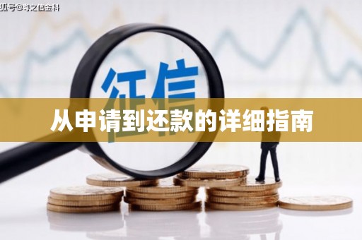 塔什库尔干塔吉克从申请到还款的详细指南