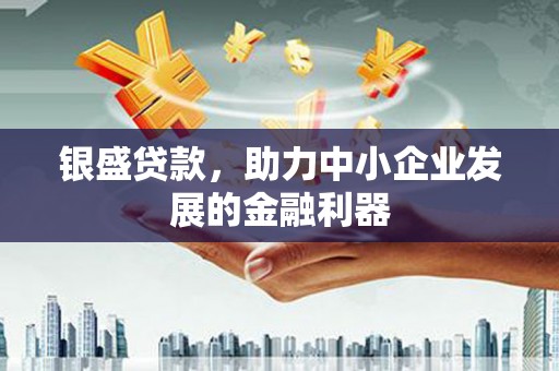塔什库尔干塔吉克银盛贷款，助力中小企业发展的金融利器