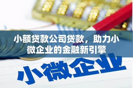 塔什库尔干塔吉克小额贷款公司贷款，助力小微企业的金融新引擎