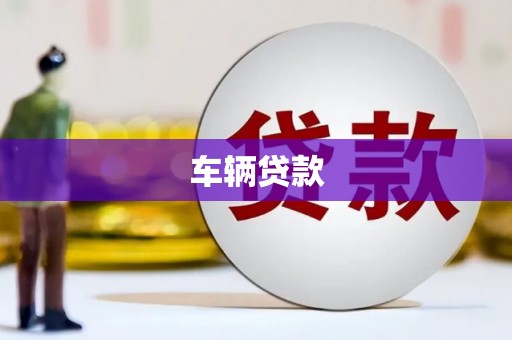 塔什库尔干塔吉克车辆贷款