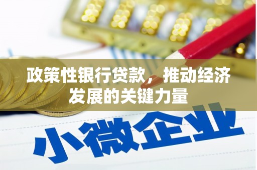 塔什库尔干塔吉克政策性银行贷款，推动经济发展的关键力量