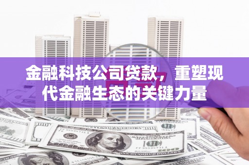 塔什库尔干塔吉克金融科技公司贷款，重塑现代金融生态的关键力量