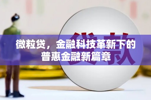 塔什库尔干塔吉克微粒贷，金融科技革新下的普惠金融新篇章