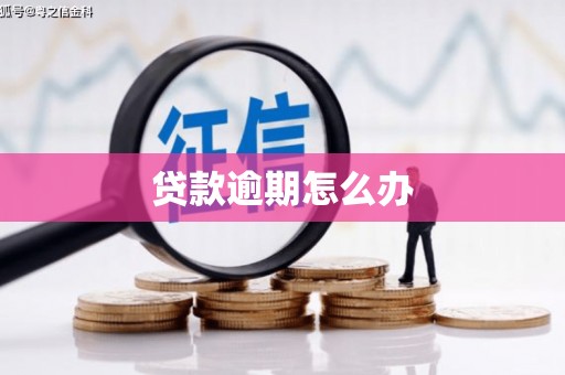 塔什库尔干塔吉克贷款逾期怎么办