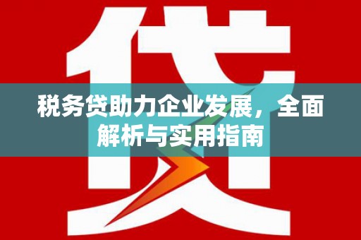塔什库尔干塔吉克税务贷助力企业发展，全面解析与实用指南