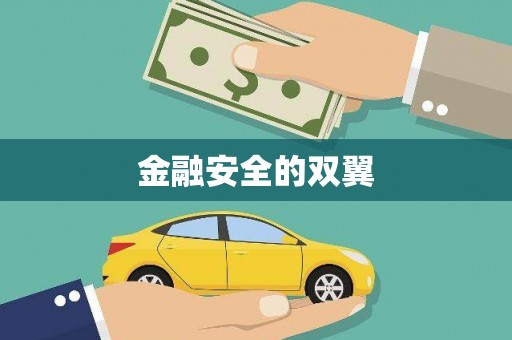 塔什库尔干塔吉克金融安全的双翼