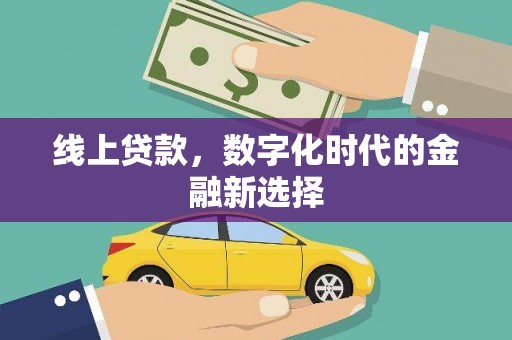 塔什库尔干塔吉克线上贷款，数字化时代的金融新选择