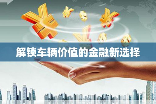 塔什库尔干塔吉克解锁车辆价值的金融新选择