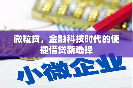 塔什库尔干塔吉克微粒贷，金融科技时代的便捷借贷新选择