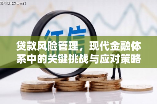 塔什库尔干塔吉克贷款风险管理，现代金融体系中的关键挑战与应对策略
