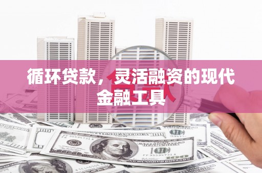 塔什库尔干塔吉克循环贷款，灵活融资的现代金融工具