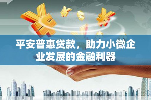 塔什库尔干塔吉克平安普惠贷款，助力小微企业发展的金融利器