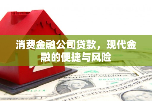 塔什库尔干塔吉克消费金融公司贷款，现代金融的便捷与风险