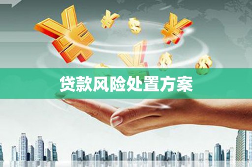 塔什库尔干塔吉克贷款风险处置方案