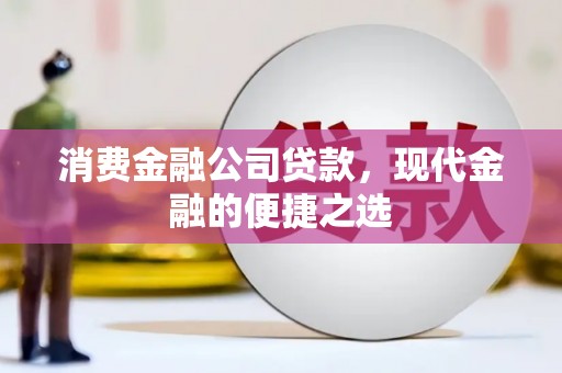 塔什库尔干塔吉克消费金融公司贷款，现代金融的便捷之选
