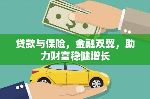 塔什库尔干塔吉克贷款与保险，金融双翼，助力财富稳健增长