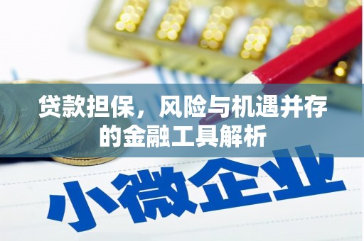 塔什库尔干塔吉克贷款担保，风险与机遇并存的金融工具解析