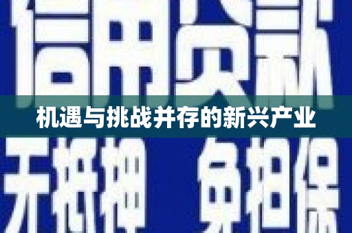 塔什库尔干塔吉克机遇与挑战并存的新兴产业