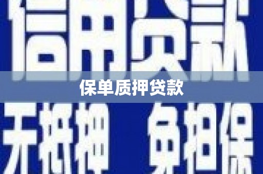 塔什库尔干塔吉克保单质押贷款