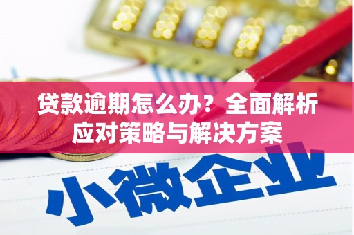 塔什库尔干塔吉克贷款逾期怎么办？全面解析应对策略与解决方案
