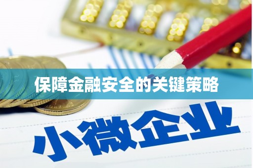 塔什库尔干塔吉克保障金融安全的关键策略