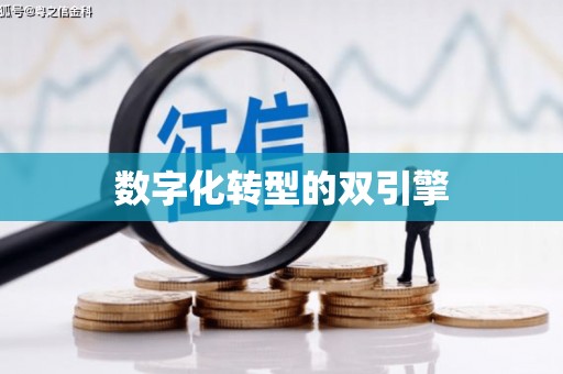 塔什库尔干塔吉克数字化转型的双引擎