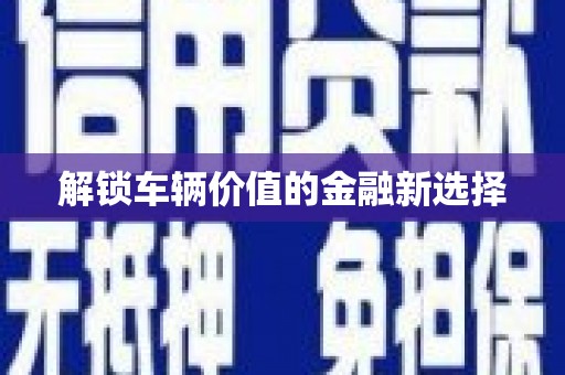 塔什库尔干塔吉克解锁车辆价值的金融新选择