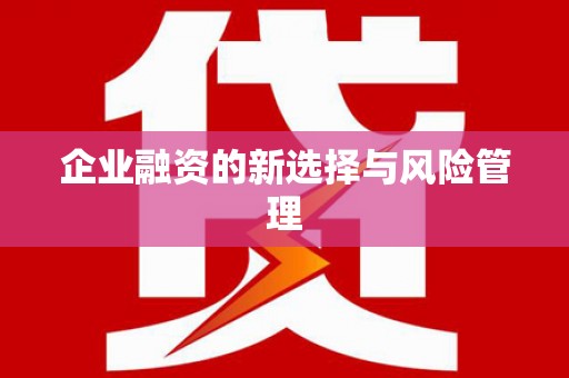 塔什库尔干塔吉克企业融资的新选择与风险管理