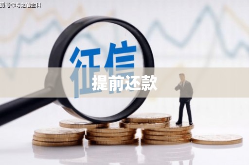 塔什库尔干塔吉克提前还款