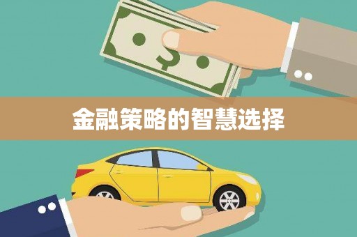 塔什库尔干塔吉克金融策略的智慧选择