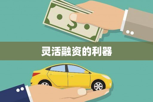 塔什库尔干塔吉克灵活融资的利器