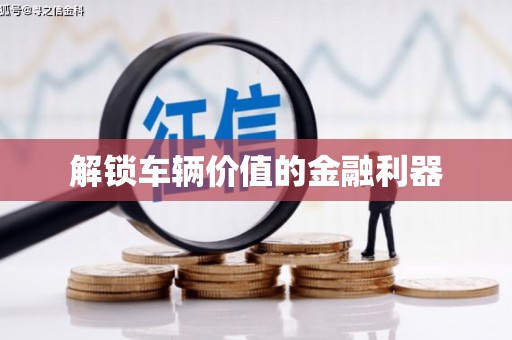 塔什库尔干塔吉克解锁车辆价值的金融利器