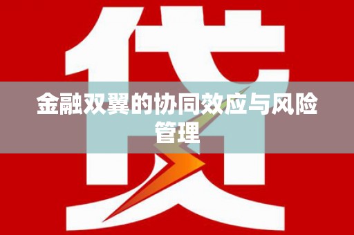 塔什库尔干塔吉克金融双翼的协同效应与风险管理