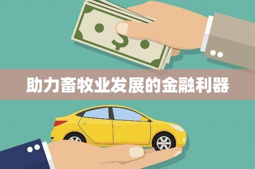塔什库尔干塔吉克助力畜牧业发展的金融利器