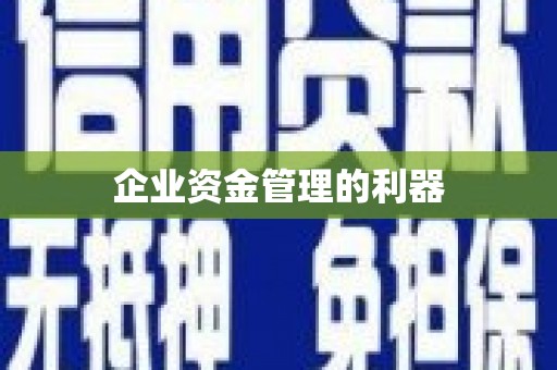 塔什库尔干塔吉克企业资金管理的利器