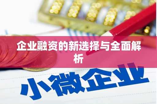 塔什库尔干塔吉克企业融资的新选择与全面解析