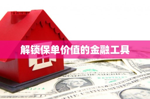 塔什库尔干塔吉克解锁保单价值的金融工具