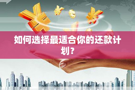 塔什库尔干塔吉克如何选择最适合你的还款计划？