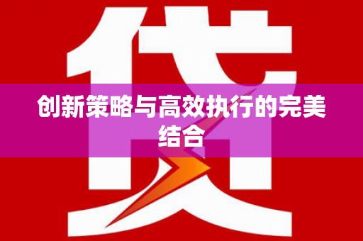 塔什库尔干塔吉克创新策略与高效执行的完美结合