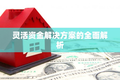 塔什库尔干塔吉克灵活资金解决方案的全面解析