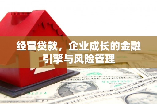 塔什库尔干塔吉克经营贷款，企业成长的金融引擎与风险管理